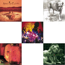 Dirt & Jar Of Flies & Greatest Hits & Unplugged & Alice In Chains