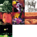 Dirt & Jar Of Flies & Greatest Hits & Unplugged & Live & Facelift & Alice In Chains