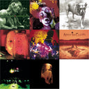 Dirt & Jar Of Flies & Greatest Hits & Unplugged & Live & Nothing Safe: Best Of The Box & Facelift & Alice In Chains