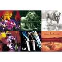 Dirt & Greatest Hits & Unplugged & Sap & Facelift & Alice In Chains
