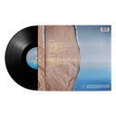 Alejandro Sanz - ¿Y ahora qué +? Vinyl