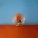 In The Meantime [2 LP] [Vinyl]