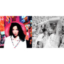Bjork - Post & Vespertine - LP Vinyl Bundle