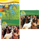 Endless Summer & Pet Sounds (Mono) & Pet Sounds (Stereo)