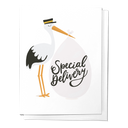 Special Delivery Stork Baby Newborn Congrats Greeting Card