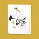 Special Delivery Stork Baby Newborn Congrats Greeting Card