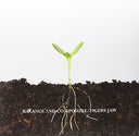 Balance And Composure [Vinyl]