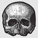 Black Pearl 10” (Die Cut Skull Pic Disc) [Vinyl]