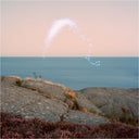 An Overview on Phenomenal Nature [Vinyl]