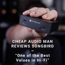 Songbird Internet Music Streamer