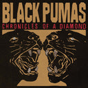 Black Pumas - Chronicles of a Diamond | Signed Vinyl