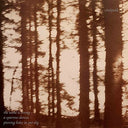 Wind Is Strong [Vinyl]