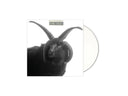 The Cult - The Cult (Limited Edition White Vinyl, Indie Exclusive)