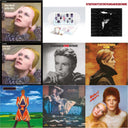 David Bowie - Earthling (2021 Remaster/2LP) & Low (2017 Remaster) & Station To Station (2016 Remastered Version) & Changesonebowie (180G) & Hunky Dory (2015 Remaster/50Th Anniv/Picture Disc) & Live Los Angeles 1974 (White LP Vinyl/Limited) & Pinups