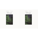 Devendra & Noah Georgeson Banhart - Refuge & Refuge (Blue Seaglass Wave Translucent LP Vinyl)