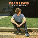 A Place We Knew [Vinyl]