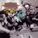 Stunts, Blunts & Hip Hop [Vinyl]