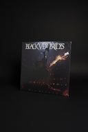 Black Veil Brides - Vindicate