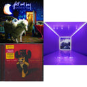 Infinity On High & Folie A Deux & M A  N   I    A