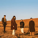 When You Walk Away [LP] [Vinyl]
