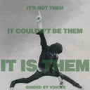 It's Not Them. It Couldn't Be Them. It Is Them! [Vinyl]