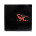 Past Lives - Orange Vinyl