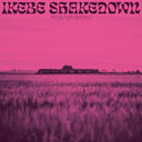 Kings Left Behind [Vinyl]
