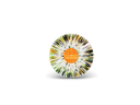 STRETCH ARM STRONG ‘A REVOLUTION TRANSMISSION’ LP (Limited Edition – Only 300 made, Transparent White w/ Orange, Green, Black Splatter Vinyl)