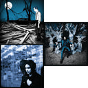 Fear Of The Dawn & Blunderbuss (180G) & Lazaretto (180G)