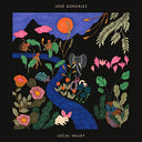 Local Valley [Vinyl]