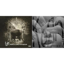 Take A Look In The Mirror (2 LP) (140G) & Requiem