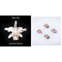 Aha Shake Heartbreak (2LP/180G/Gatefold) & Walls (180G/Gatefold/Dl Card)
