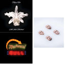 Aha Shake Heartbreak (2LP/180G/Gatefold) & Mechanical Bull (2LP/180G/Dl Card/Gatefold) & Walls (180G/Gatefold/Dl Card)
