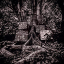 Harmony of Difference [EP] * [Vinyl]