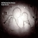 50 Words For Snow (Remastered, 180 Gram Vinyl)) [Import] (2 Lp's) [Vinyl]