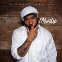 Maestro (2 Lp's) [Vinyl]