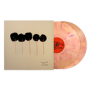 Past Lives (Deluxe) - Cream Swirl Vinyl 2LP