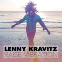 Raise Vibration [Vinyl]