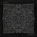 Lettuce - Resonate (2 Lp's) [Vinyl]