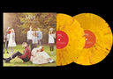 Saturdays = Youth (RSD Essentials, Autumn Marble Colored Vinyl) (2 Lp's) [Vinyl]