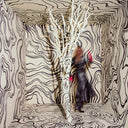 Revealer [LP] [Vinyl]