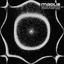 Sound Ancestors (Arranged By Kieran Hebden) [Vinyl]