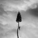 A Black Mile To The Surface [Gray Marble 2 LP] [Vinyl]