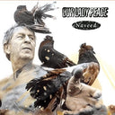 NAVEED [Vinyl]