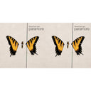Brand New Eyes & Brand New Eyes