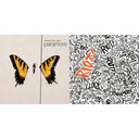 Paramore - Brand New Eyes & Riot - CD Bundle