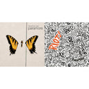 Brand New Eyes & Riot
