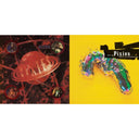 Bossanova & Wave Of Mutilation: Best Of Pixies