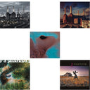 Animals (2018 Remix) (180G) & Saucerful Of Secrets (180G) & Meddle (180G/Gatefold/2016 Version) & Animals (180G) (2016 Version) & Collection Of Great Dance Songs (180G)