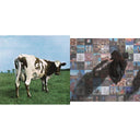 Atom Heart Mother & Foot In The Door: Best Of Pink Floyd